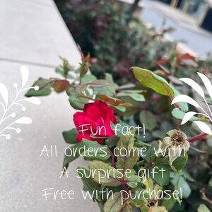 Make an offer today!